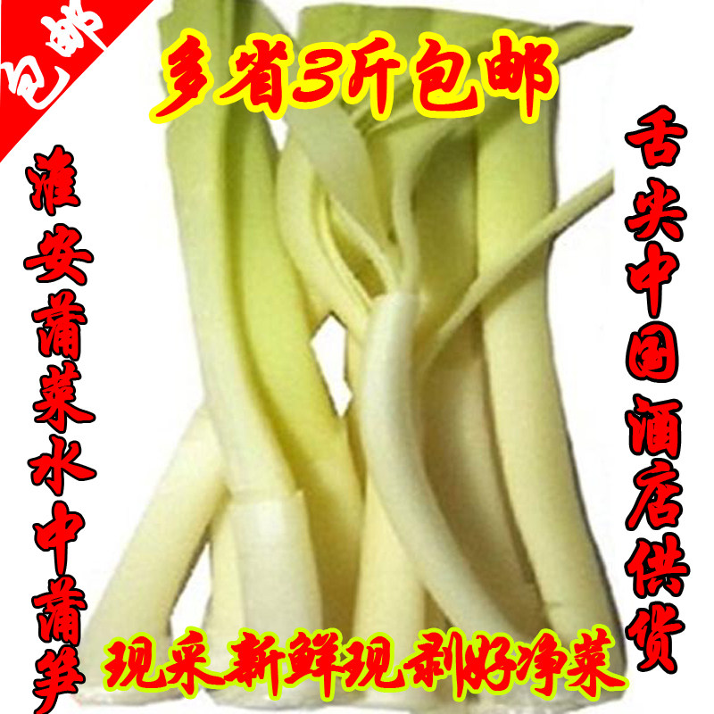 蒲菜6月份蒲菜新鲜时令野菜茭白淮安特产蒲笋蒲儿菜净菜500g酒店