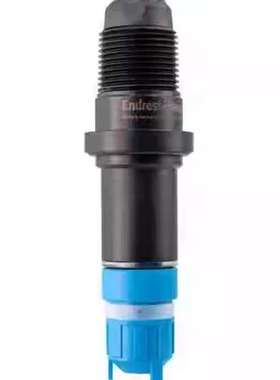 售前E+H 数字式总氯感测器 Memosens CCS120D