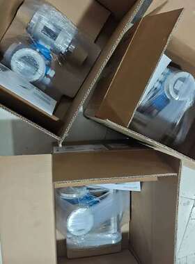 售前E+H Proline Promag P 300 5P3B2F-AAIBAEAFAAED3S1AA2