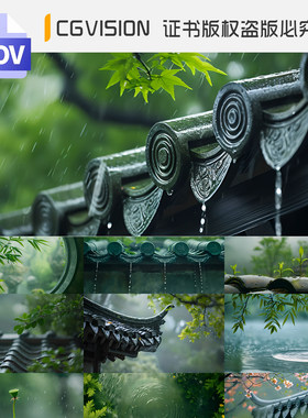4K烟雨江南屋檐雨滴禅意古风禅心意境下雨谷雨风景抖音短视频素材