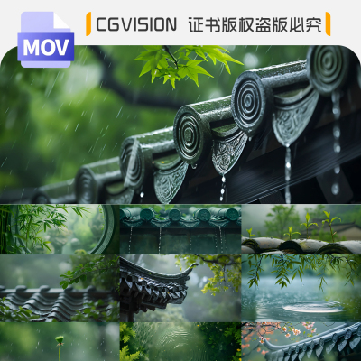4K烟雨江南屋檐雨滴禅意古风禅心意境下雨谷雨风景抖音短视频素材