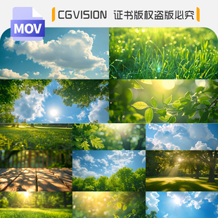 唯美清新蓝天白云绿色草地夏日清晨阳光透过树叶森林空境背景视频
