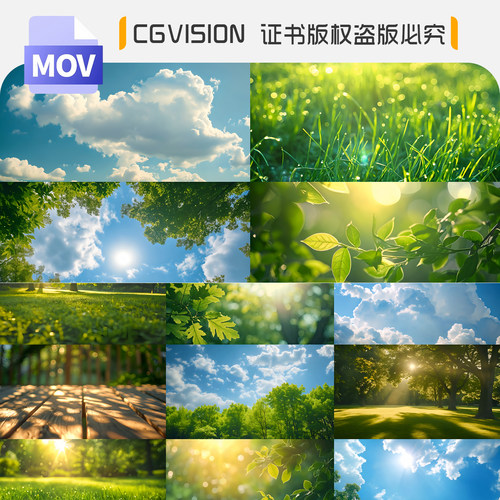 唯美清新蓝天白云绿色草地夏日清晨阳光透过树叶森林空境背景视频