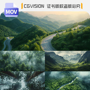 大气自然风景清晨森林氧吧道路云雾缭绕山脉意境航拍延时视频素材