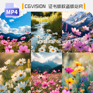 春天野花格桑花海唯美治愈风光竖版竖屏抖音直播间背景短视频素材