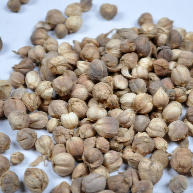 白蔻仁 1斤包邮 香料白豆蔻仁 白豆蔻 壳蔻白蔻 500克g 中药材