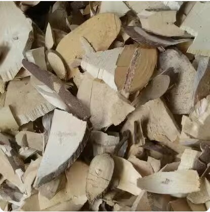 包邮三丫5斤三叉苦三亚中草药材