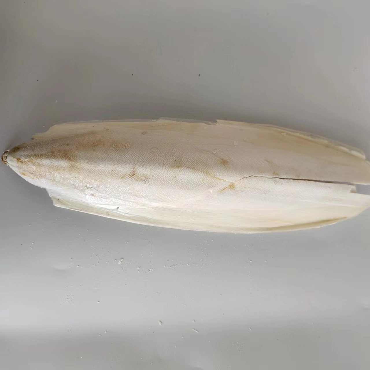 大海螵蛸 拍2斤免邮 海蛸 海螵蛸 乌贼骨 墨鱼骨 中药材 500g克