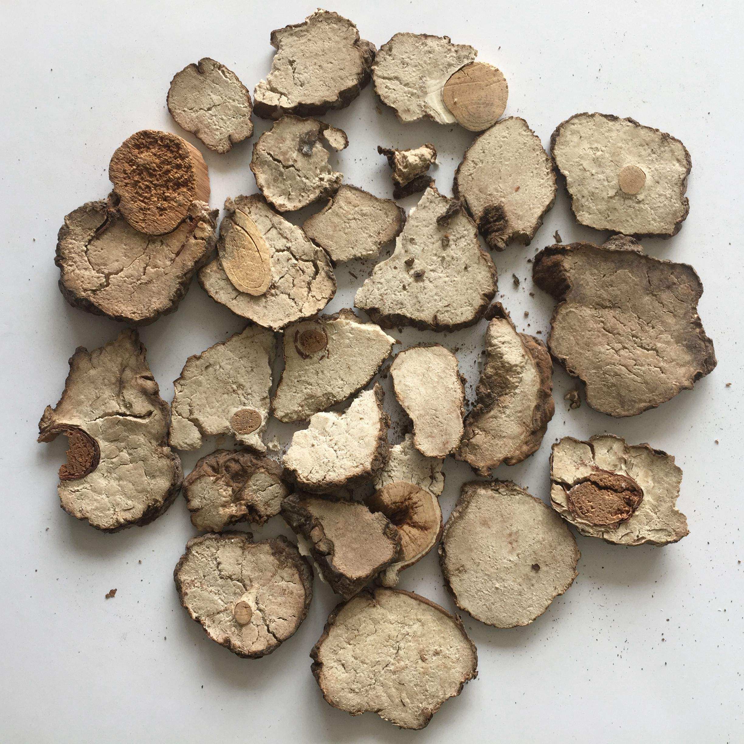 茯神 2斤包邮 伏神 云神 芸神 白茯神 云神 茯苓 中药材 500g克