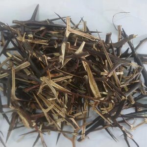 皂角刺 3斤包邮角刺皂荚刺天丁小皂角刺中草药材 500g克