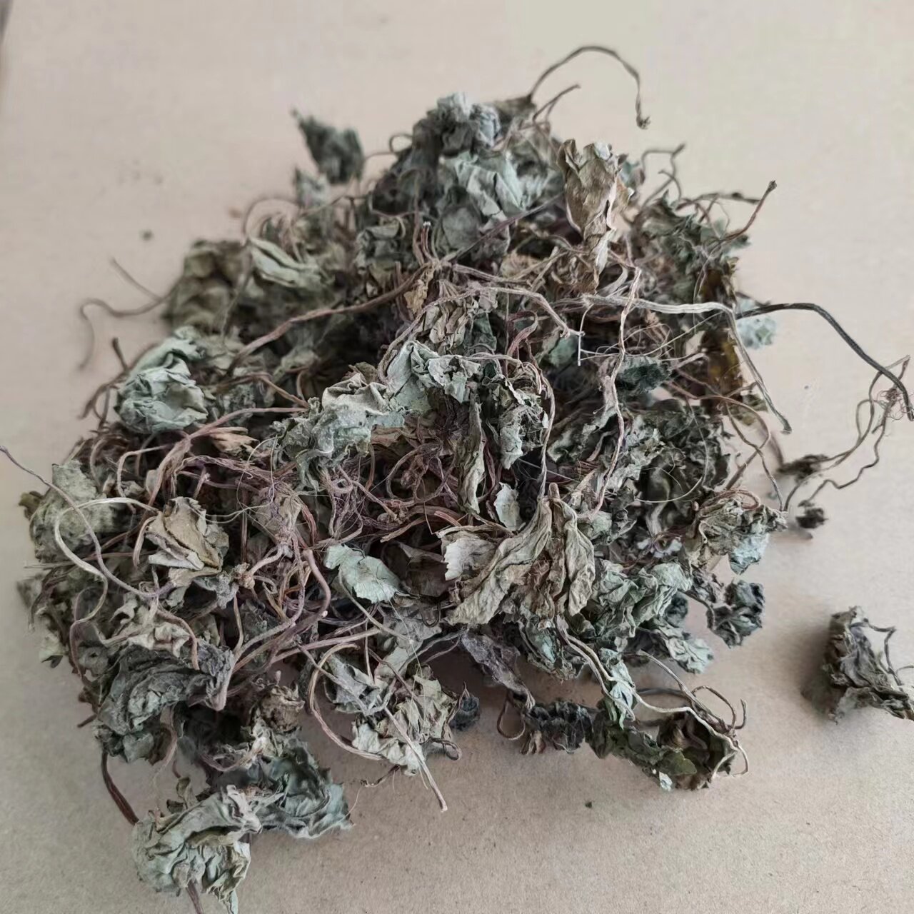 青天葵草 独叶莲 半边伞 坠千斤 中草药材 500g克140元包邮