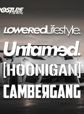 汽车前后档untamed拉花装饰贴纸创意个性改装划痕遮挡电动摩托车