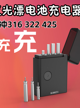 鱼漂316电池充电器322夜光漂浮漂充电器夜钓电子鱼425电池充电器