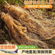 精品新鲜人参长白山产地直发品质新鲜现挖带土产地直发可泡酒煲汤