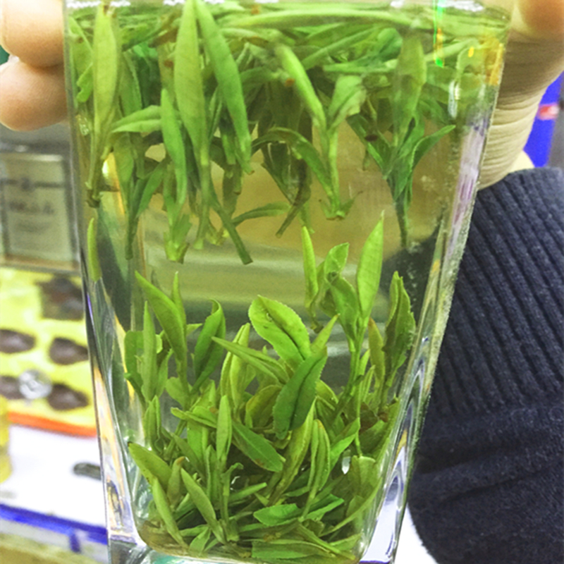 霍山黄芽2026安徽高山特级高山明前黄茶茶叶散罐装250g