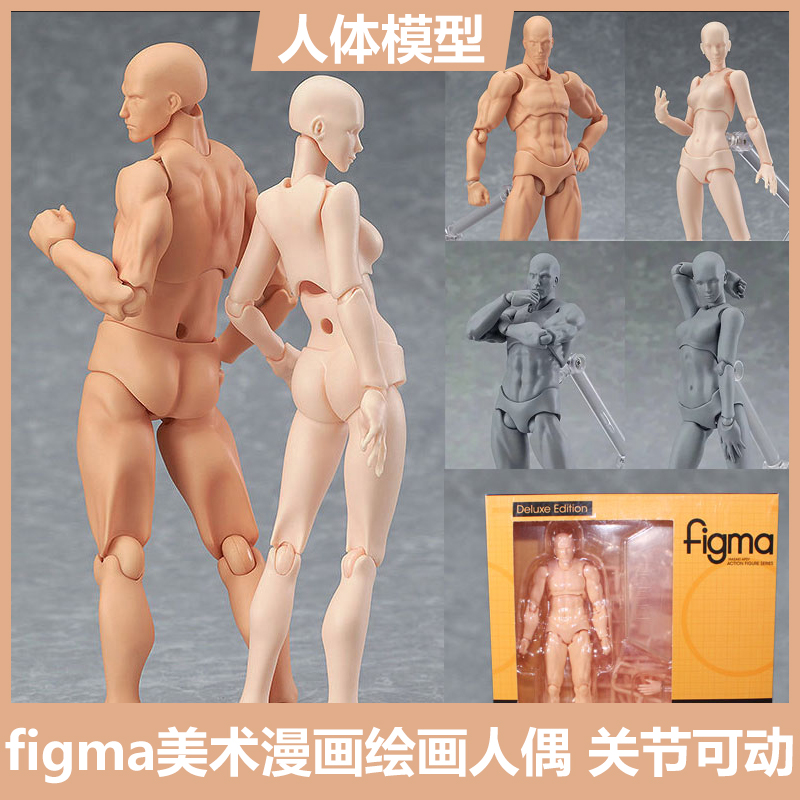 figma素体美术人体模型玩具日本人偶关节可动成人绘画肌肉shf素体-封面