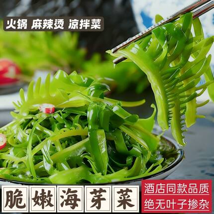 大连特产级裙带菜嫩芽海白菜盐渍半干海藻木耳眉芽睫毛菜500g包邮