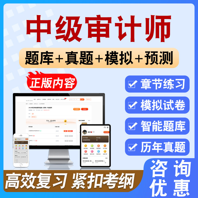 2026年中级审计师考试备考学习资料模拟练习试题库非教材书课程