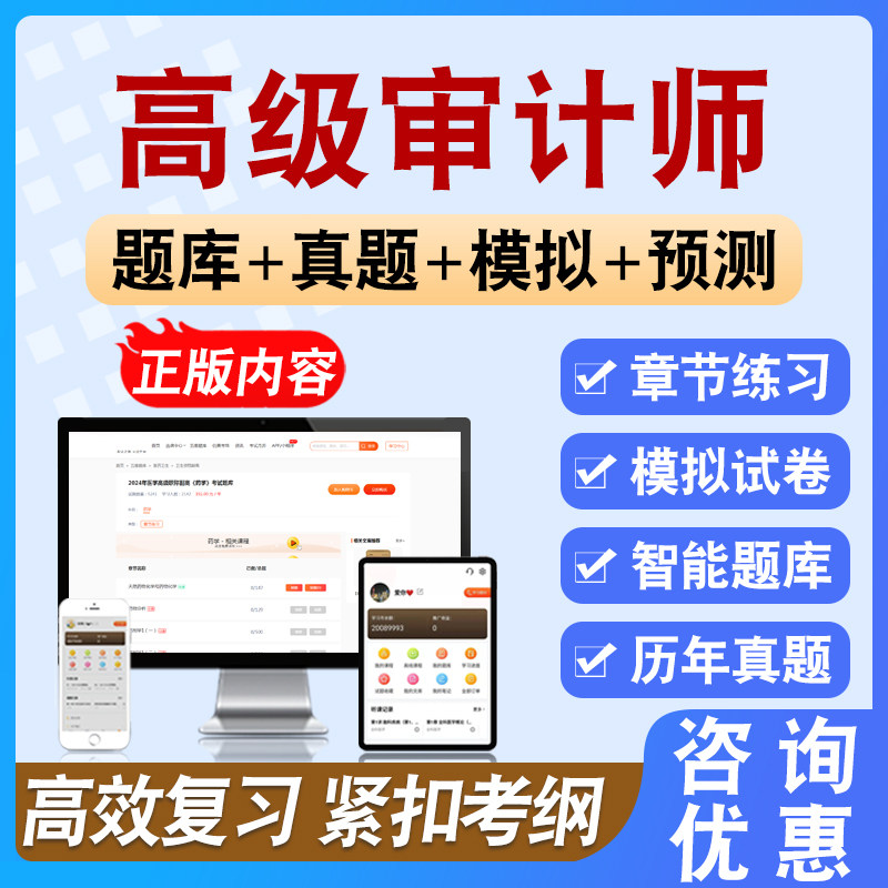 2026年高级审计师考试备考学习资料模拟练习试题库非教材书课程