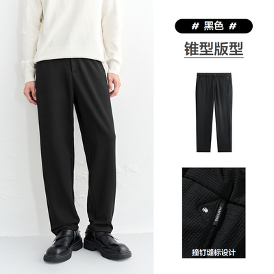 【商场同款】太平鸟男装 2025年冬季款肌理感休闲裤B1GBF4287