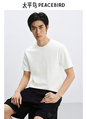 太平鸟男士简约时尚短袖T恤B1CNF2225
