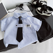 儿童套装 夏季 男童小西装 2025新款 套装 短袖 衬衫 小礼服两件套潮 韩版