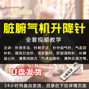 中医针灸视频全集U盘脏腑气机升降针刺气血双补针健脾养胃优盘