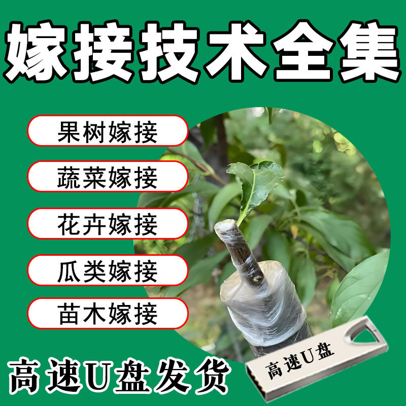 嫁接技术视频教程U盘果树花卉蔬菜苗木修剪扦插压条实操教学课程