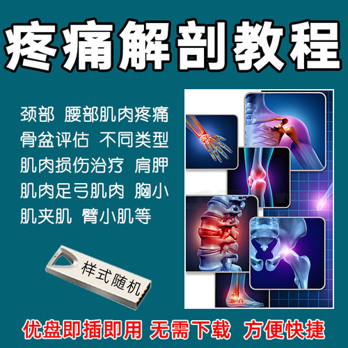 疼痛解剖学视频U盘教程疼痛理论肌肉功能解刨疼痛诊断教学优盘