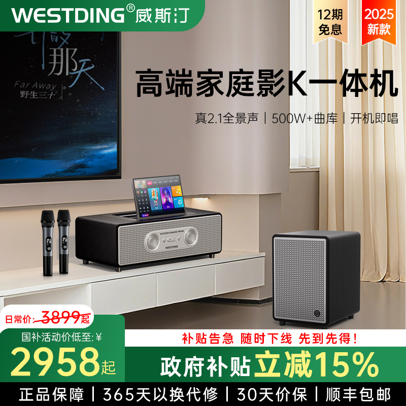 威斯汀P30家庭ktv音响套装家用卡拉OK客厅唱歌设备2025新款点歌机