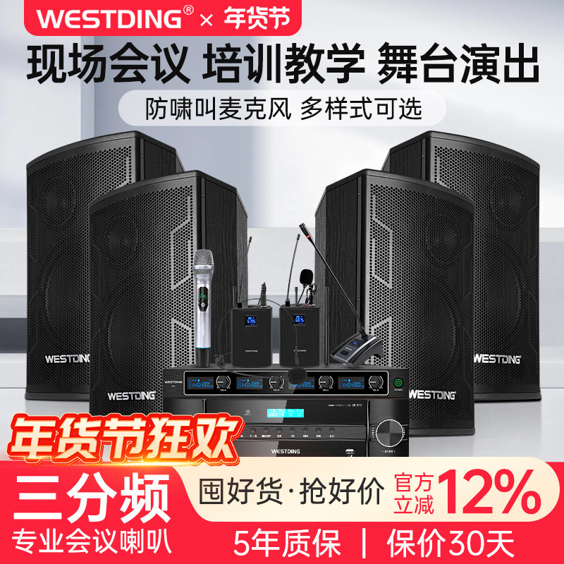 威斯汀105专业中小型会议室音响套装会场专用壁挂音箱k歌全套设备