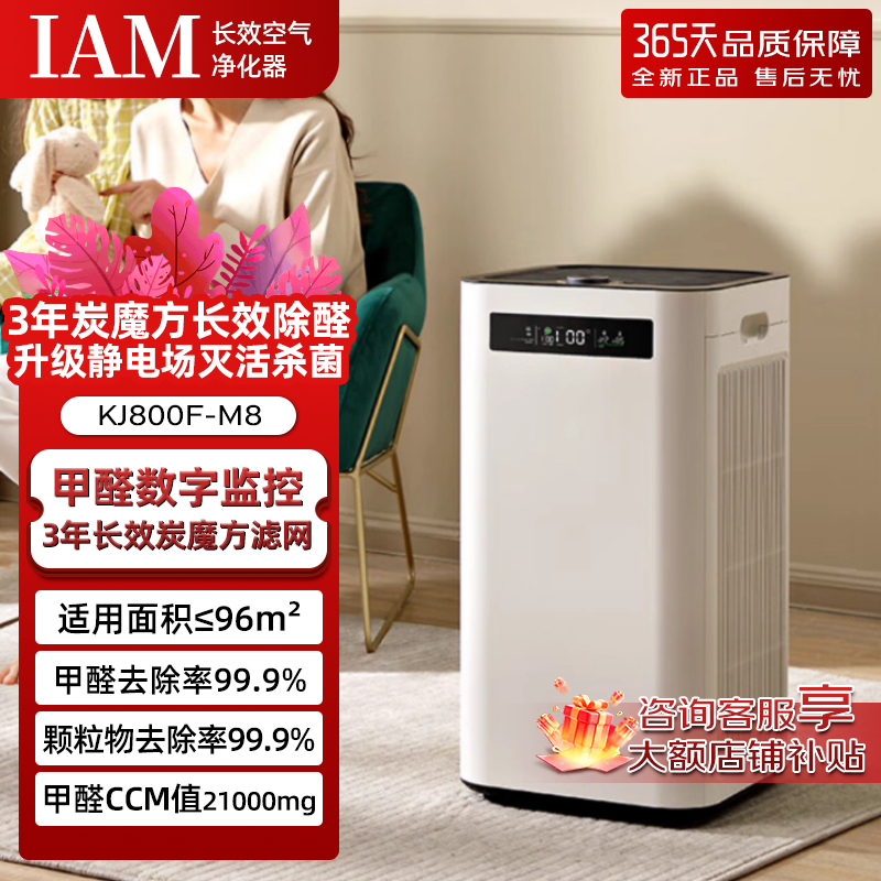 IAM空气净化器长效除醛滤网