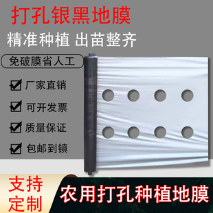 定制打孔地膜带洞眼农用塑料薄膜蔬菜双色银黑地膜防草率