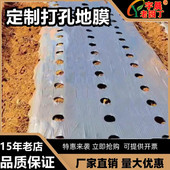 定制带洞眼农用塑料薄膜蔬菜双色打孔地膜银黑地膜草莓辣椒西红柿