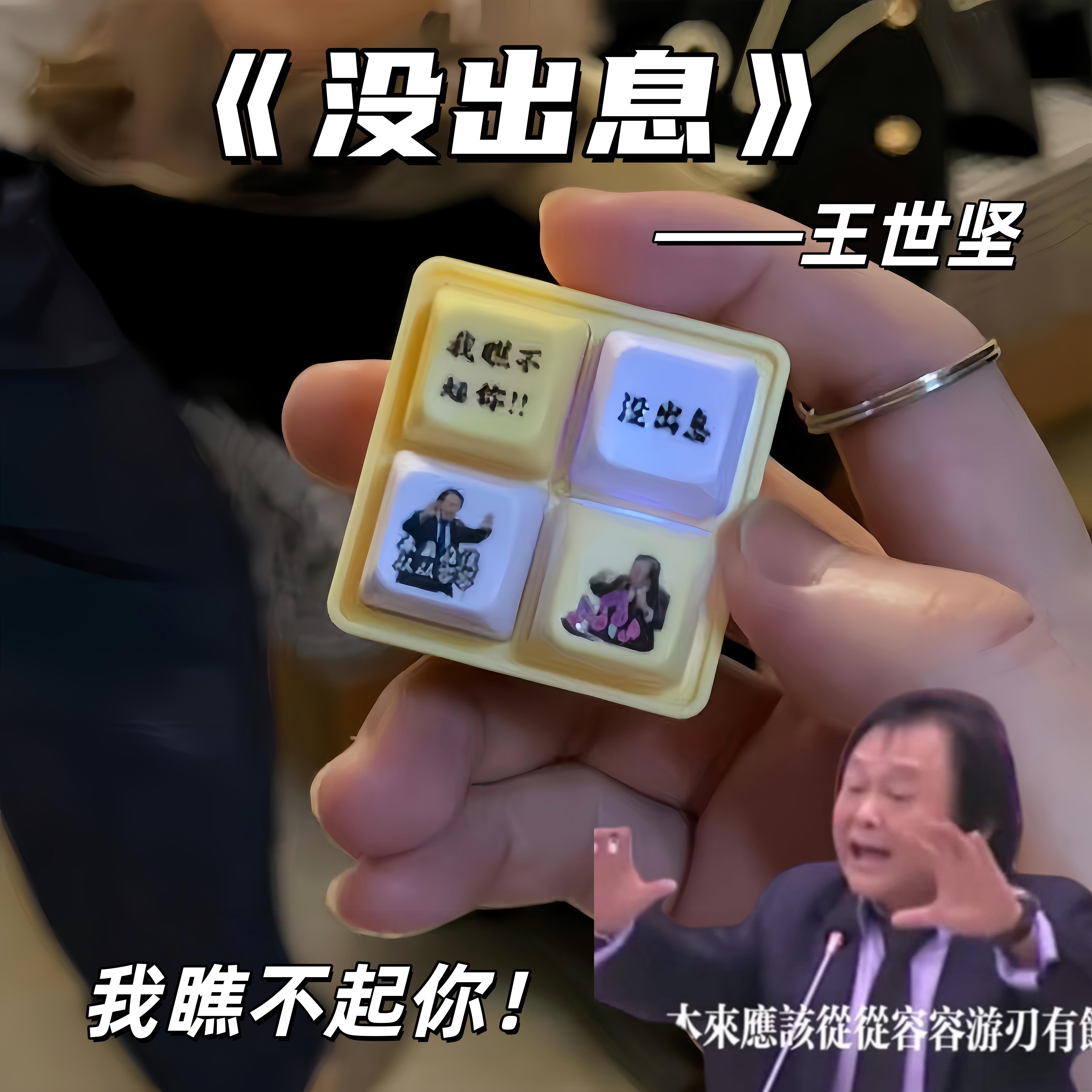 王世坚按键没出息语音钥