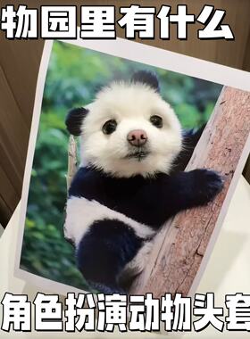 宠物装饰画动物园里有什