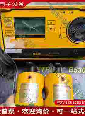 拍前询价：METRISO B530表面绝缘电阻测试仪带探头主机