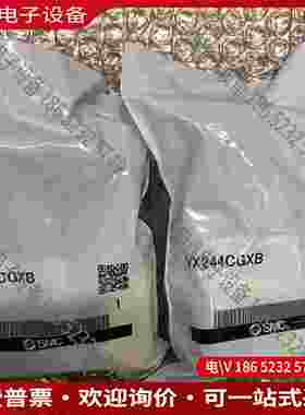 拍前询价：VX244CGXB