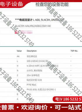 议价：E+H电磁流量计5L4C3H-AALHN2AQD220A+A