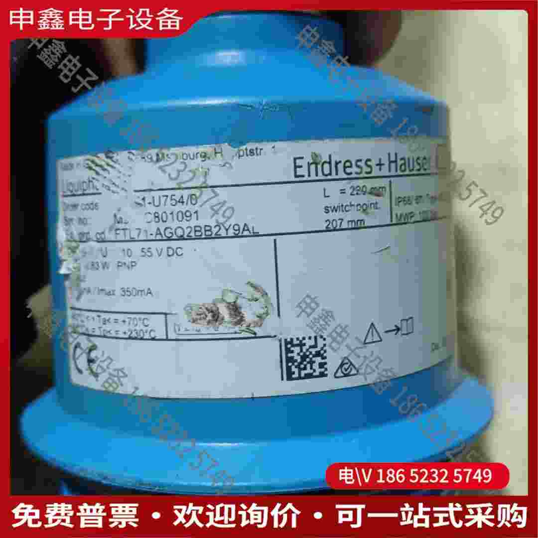 拍前询价：两只E+H音叉液位计 FTL71-AGQ2BB2Y9AL