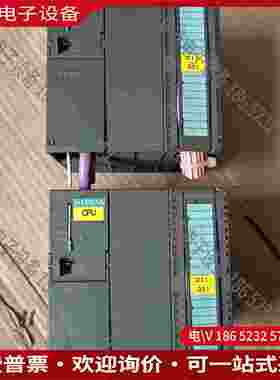 拍前询价：SIMENS6ES7 313-6CF03-0AB0带64KB