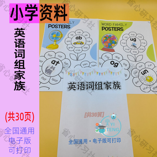英语自然拼读Word Family phonic词组家族电子版学生启蒙学习资料