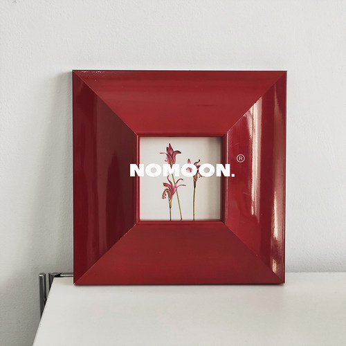 包豪斯中古挂画小众高级感红色烤漆小画 植物花卉书房客厅装饰画