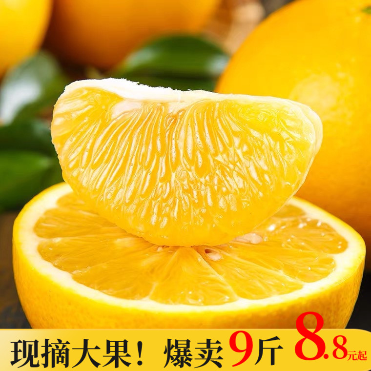 福建爆汁黄金葡萄柚10斤大果当季新鲜水果礼盒装西柚黄肉甜蜜柚子