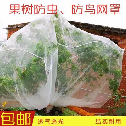 果树防虫网罩杨梅莲雾樱桃蓝莓桃树罗幔防鸟网防苍蝇虫子加密网罩