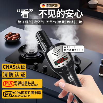 德国苏测可燃气体检测有型批CPA