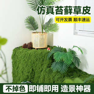 仿真苔藓草皮假青苔丝状仿生绿植盆栽人造景微景观花盆表面覆盖物