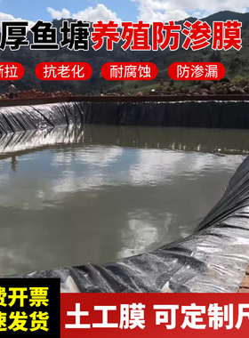 加厚鱼塘防渗膜土工膜黑色塑料养殖膜鱼池护坡防水布藕池蓄水地膜