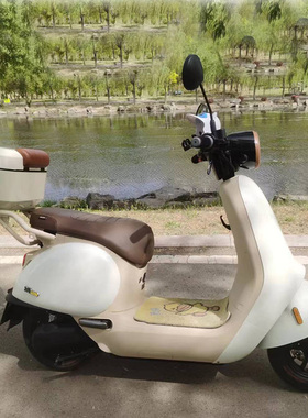 九号电动车Q30C/Q90/Q80C/Q85C/Q70C/Qzmix尾箱后备箱储物收纳箱