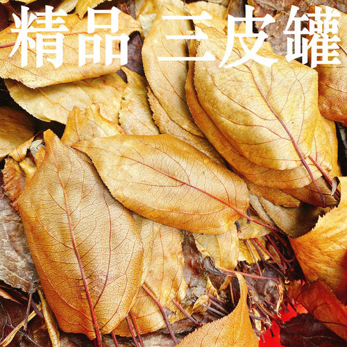 精品三皮罐湖北海棠三匹罐茶叶